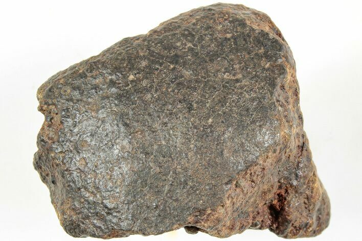 Chondrite Meteorite ( g) - Western Sahara Desert #233210